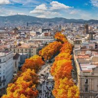 54c5acf5-7c48-4c55-b37c-8603d9556e3f_alta-aspect-ratio_default_0